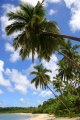 Сказочные пляжи Фиджи.jpg