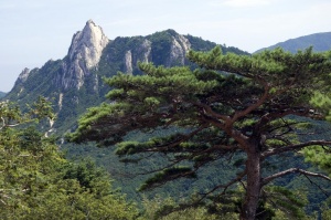Национальный парк Южной Кореи.jpg