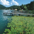 Виды озера Клопайнер-Зее, Каринтия, Австрия.jpg